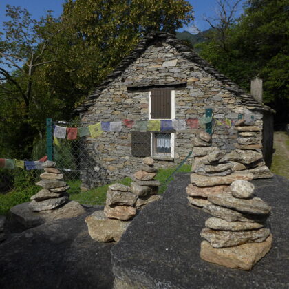  Creazioni dei visitatori 2019